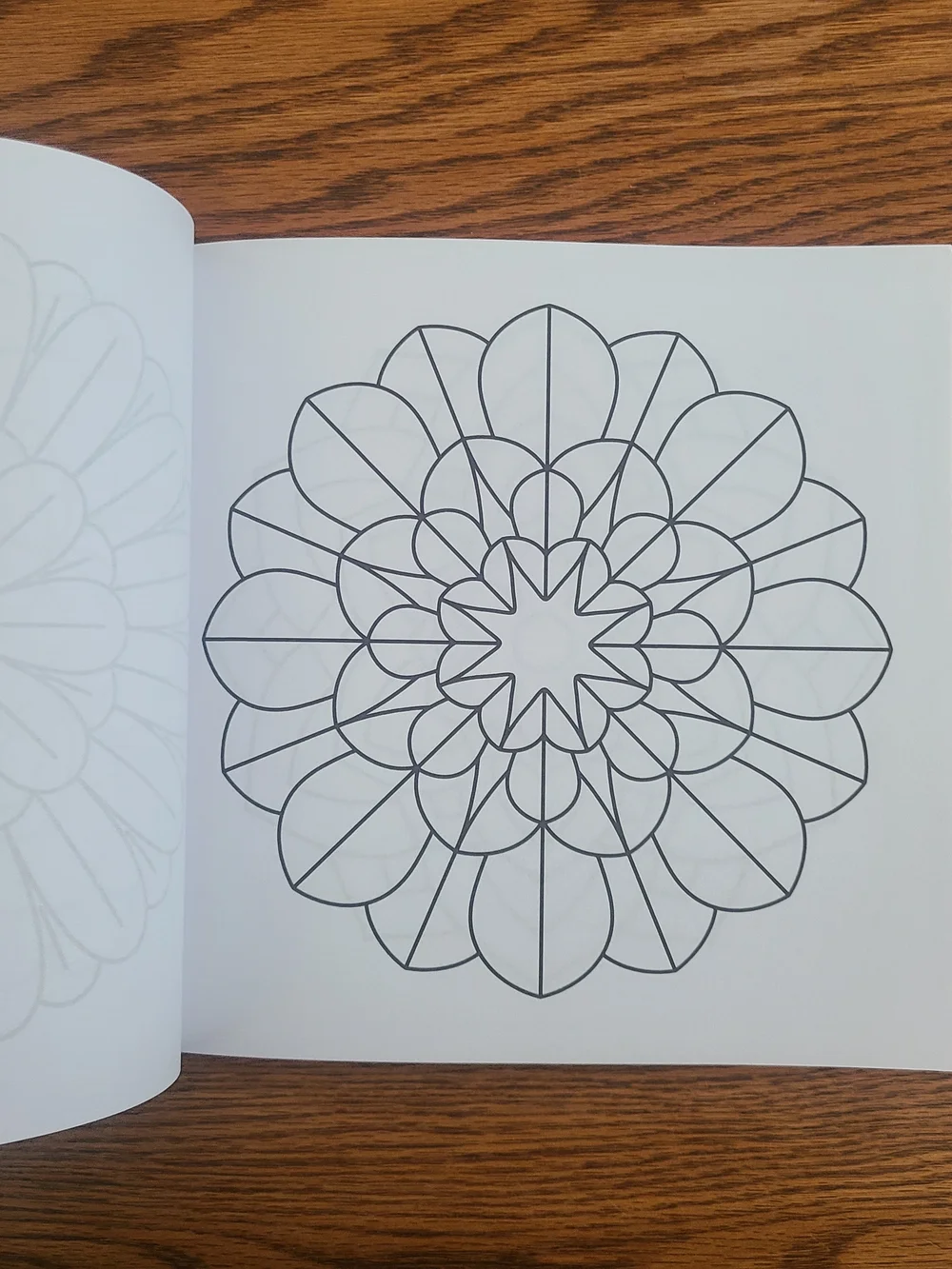 Easy Adult Coloring Book W/Ohuhu Glitter Markers